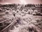 USA-Utah-Infrared of the Logan Pass area with long rail fence Art Print